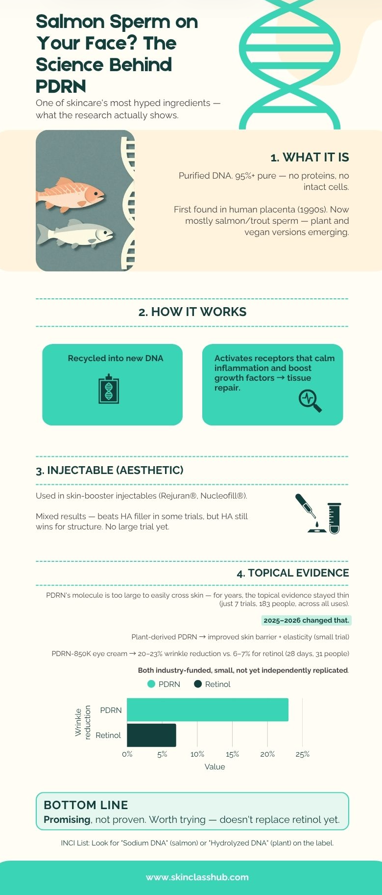 PDRN in skincare infographic